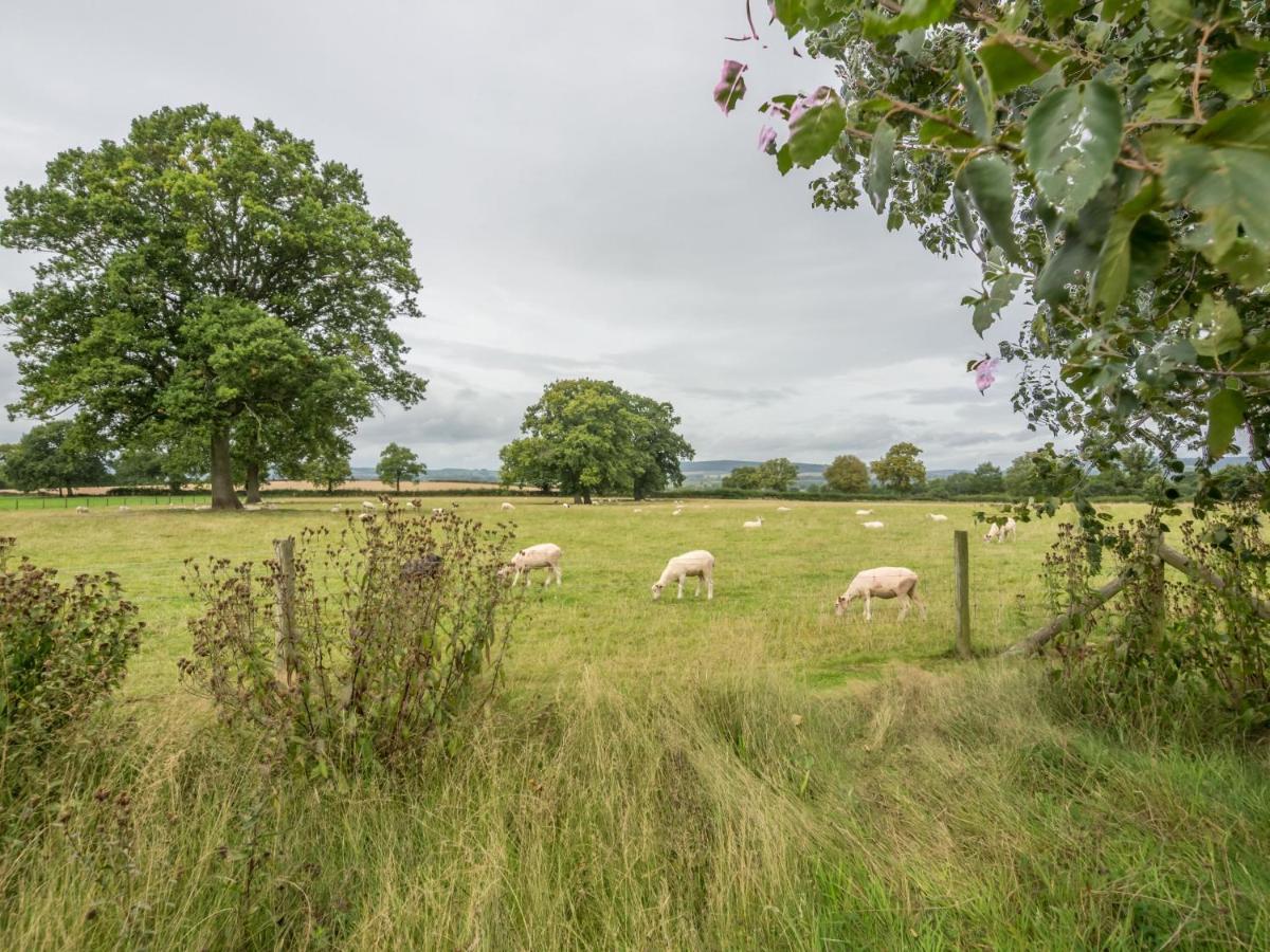 Bearwood Cottage Pembridge Buitenkant foto